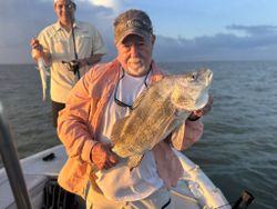 Black drum fish caught while fishing in Rockport TX