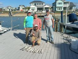 Fishing group displaying their catch on boat dock in Rockport TX