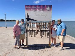 Display of speckled trout, redfish, and black drum catch from Rockport TX fishing trip