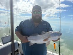 Redfish catch displayed on fishing boat in Rockport TX