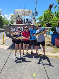 Two massive fish caught in Dorado
