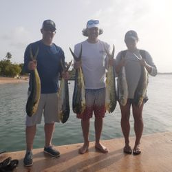 6 fishing in dorado