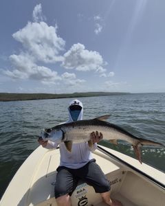 Large tarpon caught while fishing in Dorado, Puerto Rico