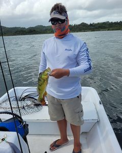 Fishing in Dorado