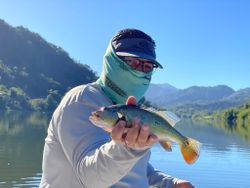 A single fishing rod casting against the backdrop of Dorado
