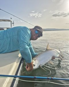 Tarpon being released into water during fishing trip in Dorado PR