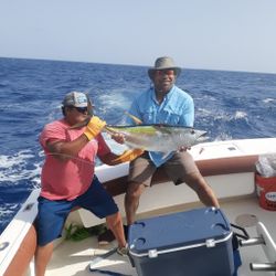 Yellowfin tuna, a big fish, caught in Dorado