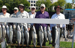 Multiple salmon species including Coho, Chinook, Pink and Atlantic salmon displayed on fishing rack in Racine WI