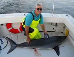 A lone angler reels in a 44-inch fish in Elwood