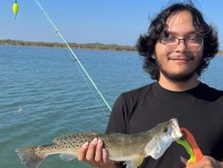 Speckled Trout: Nature's Polka-Dotted Gem!
