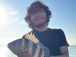 The Elusive Sheepshead!