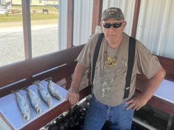 Trout Bite and more!