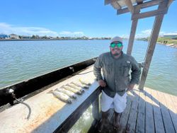 Speckled Trout: Whispers of the Waves!