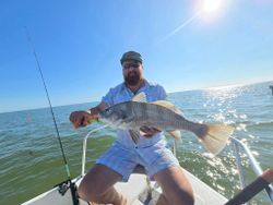 Angler with a big black drum fish caught in TX