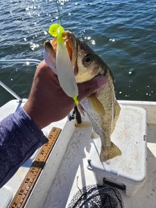 Fishing in TX with 2 people