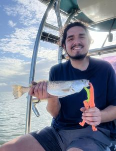 Spotted Weakfish caught while fishing in Port Mansfield
