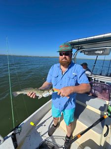 A fisherman holds a spotted weakfish measuring 15 inches in Port Mansfield.