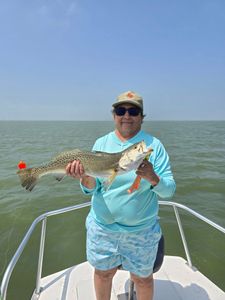 Spotted weakfish caught while fishing in TX