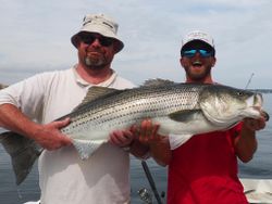 Hooked a Large Striped Bass in Gloucester, MA