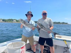 Bluefish Run in Gloucester, MA