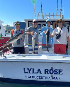 Massachusetts Top Fishing Charter