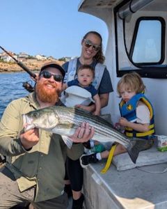Hooked a Beautiful Striper Bass in Gloucester, MA 