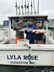 Gloucester's Finest Striped Bass Fishing Trip