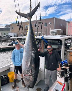 Gloucester MA Fishing Charters