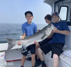 Gloucester, MA Reeled In a Large Striped Bass