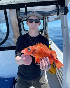 Gloucester MA Fishing Charters