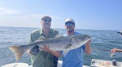 Exploring Gloucester's bounty with our expert crew