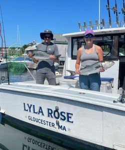 Fish on!