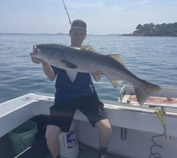 Gloucester Fishing Charters striped Bass catch