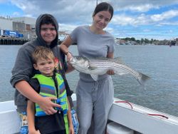 Gloucester, MA Striped Bass Fishing