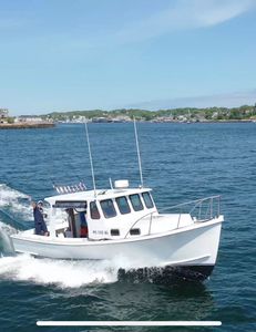 Thrilling deep sea charters await