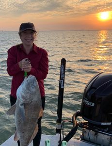 Fishing Guides Galveston TX, Huge Black Dum