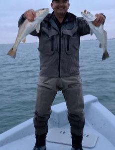 Two fishing rods with 2 caught fish in Galveston