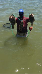 Three fish caught in TX, showing the best fishing