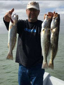 3 large fish caught while fishing in Galveston