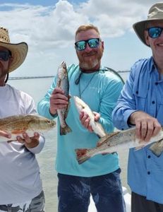 Three fishing rods with 3 caught fish on a TX beach