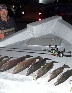 3 little tunny fish caught while fishing in TX