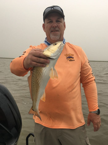 Redfish in Galveston, TX