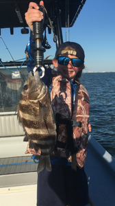 Kiddos Sheepshead in Galveston, TX