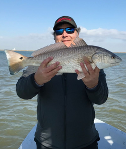 Redfish, 24 inches, caught in TX