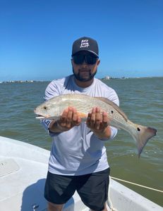 Redfish caught while fishing in TX