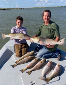 5 redfish caught in Galveston, Texas