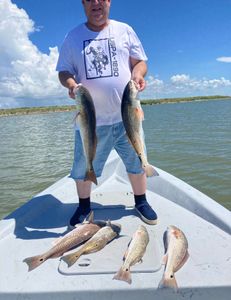 Five redfish caught in TX