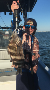 Sheepshead fish caught in TX