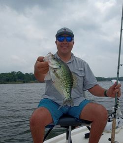 Silver Beauties: Crappie's Underwater Symphony