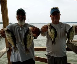 4 fish caught while fishing in Quitman